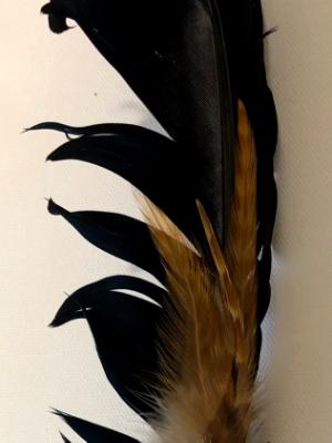 Saging Feather 5