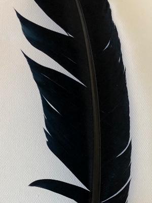 Saging Feather 1