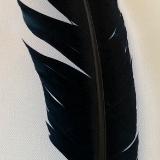 Saging Feather 1