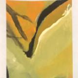 Medium #1