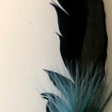 Saging Feather 2