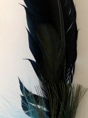 Saging Feather 6