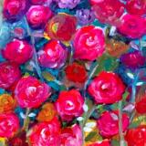 Beautiful Roses