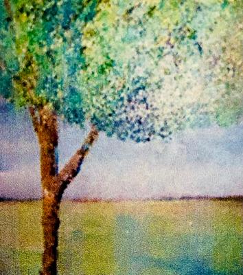 Serene Tree  Nov. 21,2026