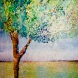 Serene Tree  Nov. 21,2026